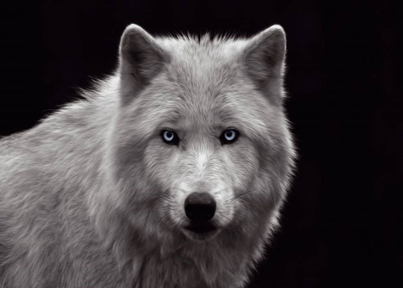 White Wolf - Red Dot