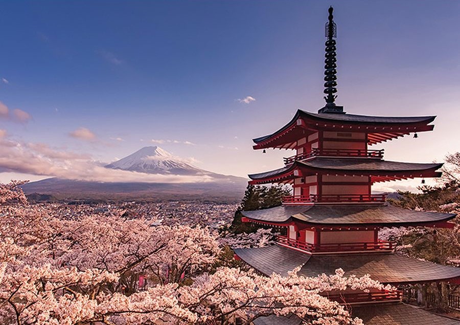 Mount Fiji Blossom - Red Dot